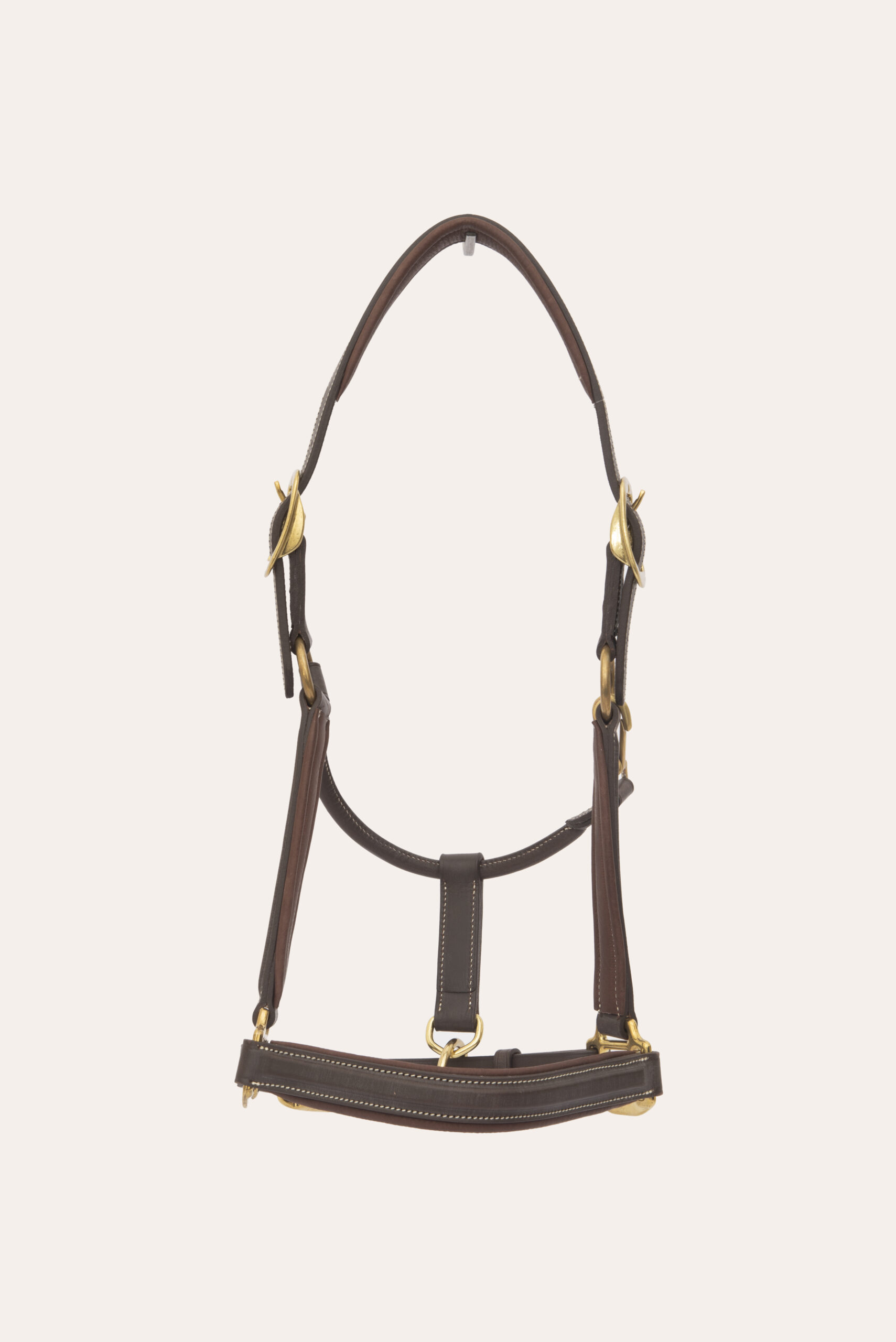 Bozal Show Bozal Show