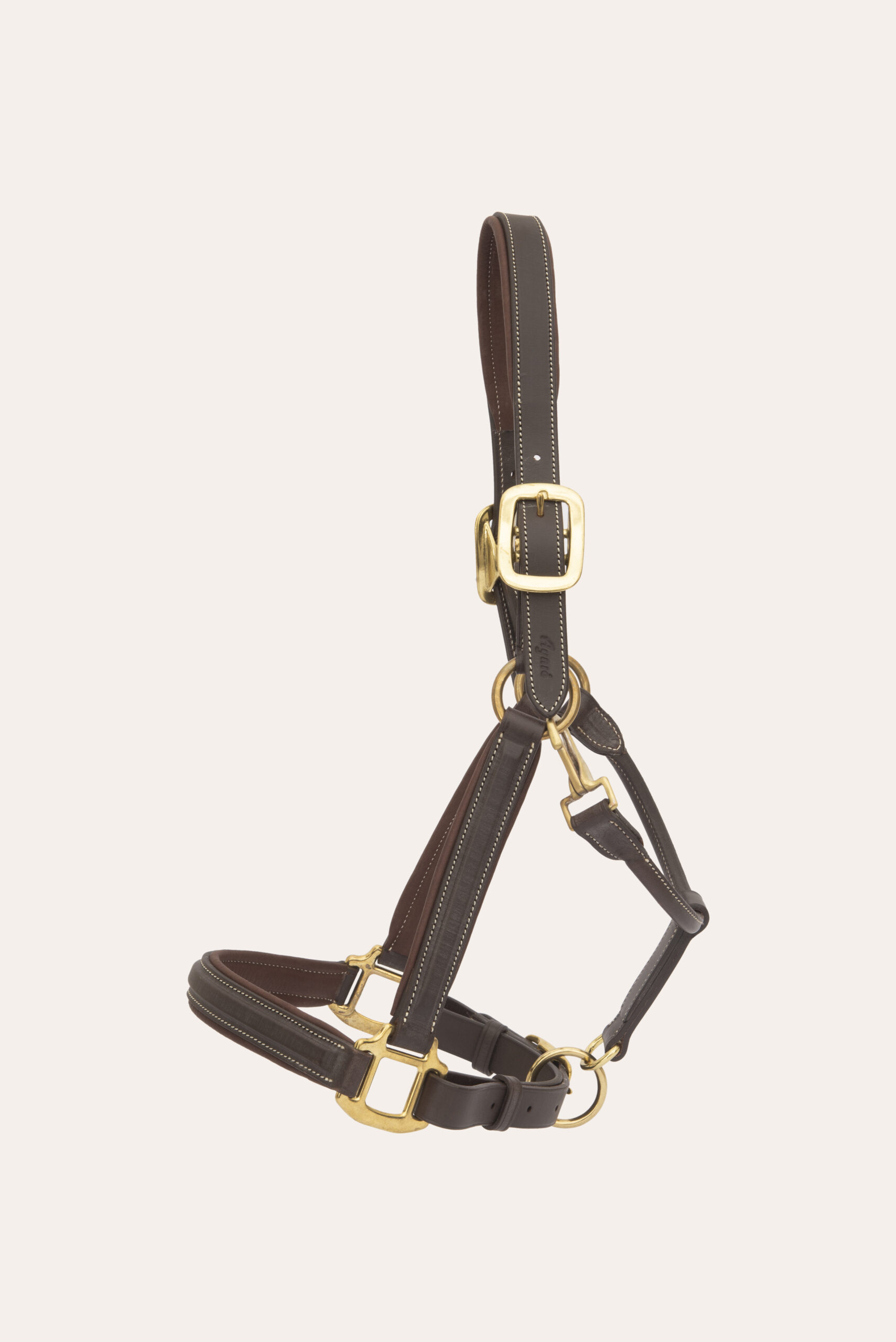 Bozal Show Bozal Show