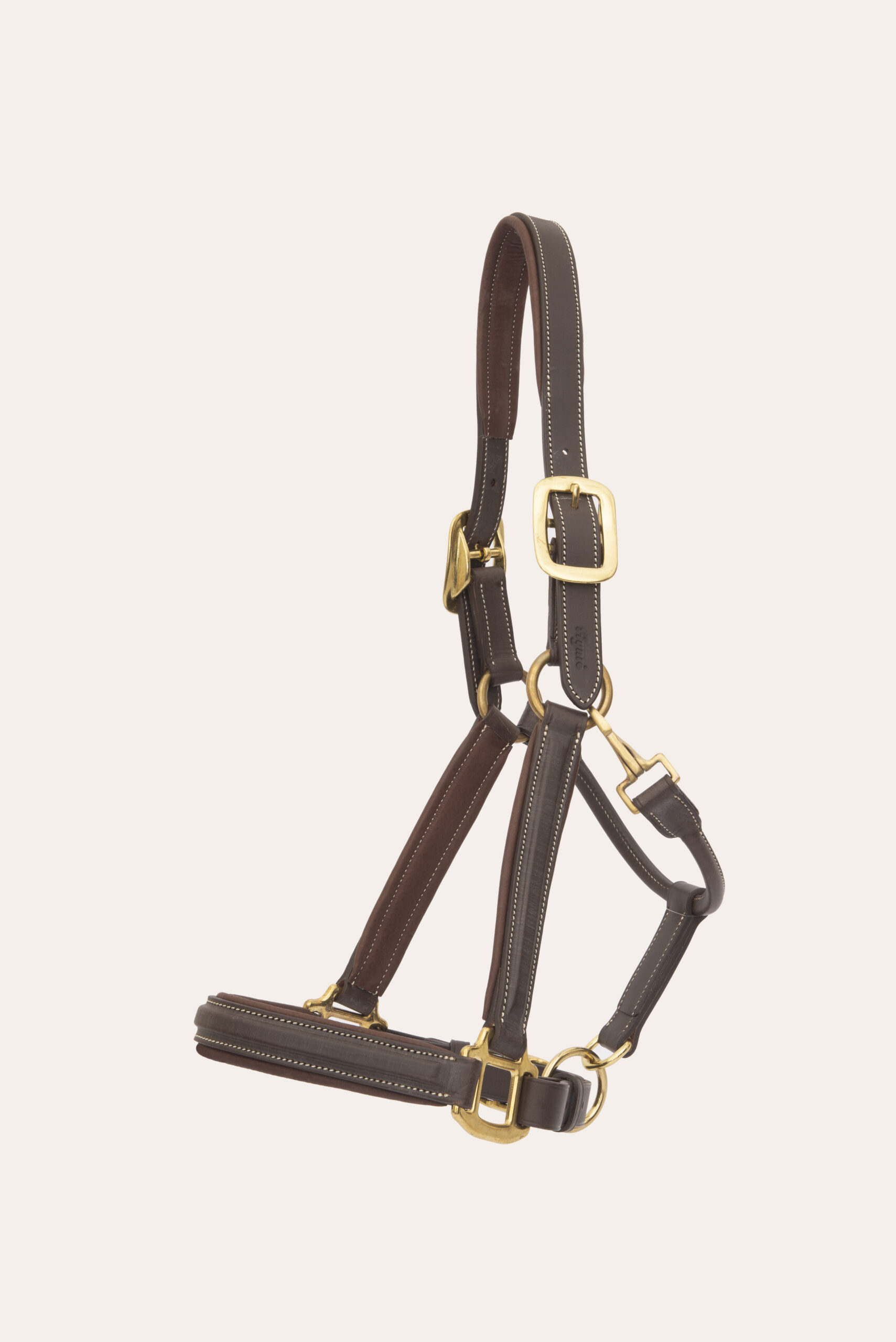 Bozal Show Bozal Show