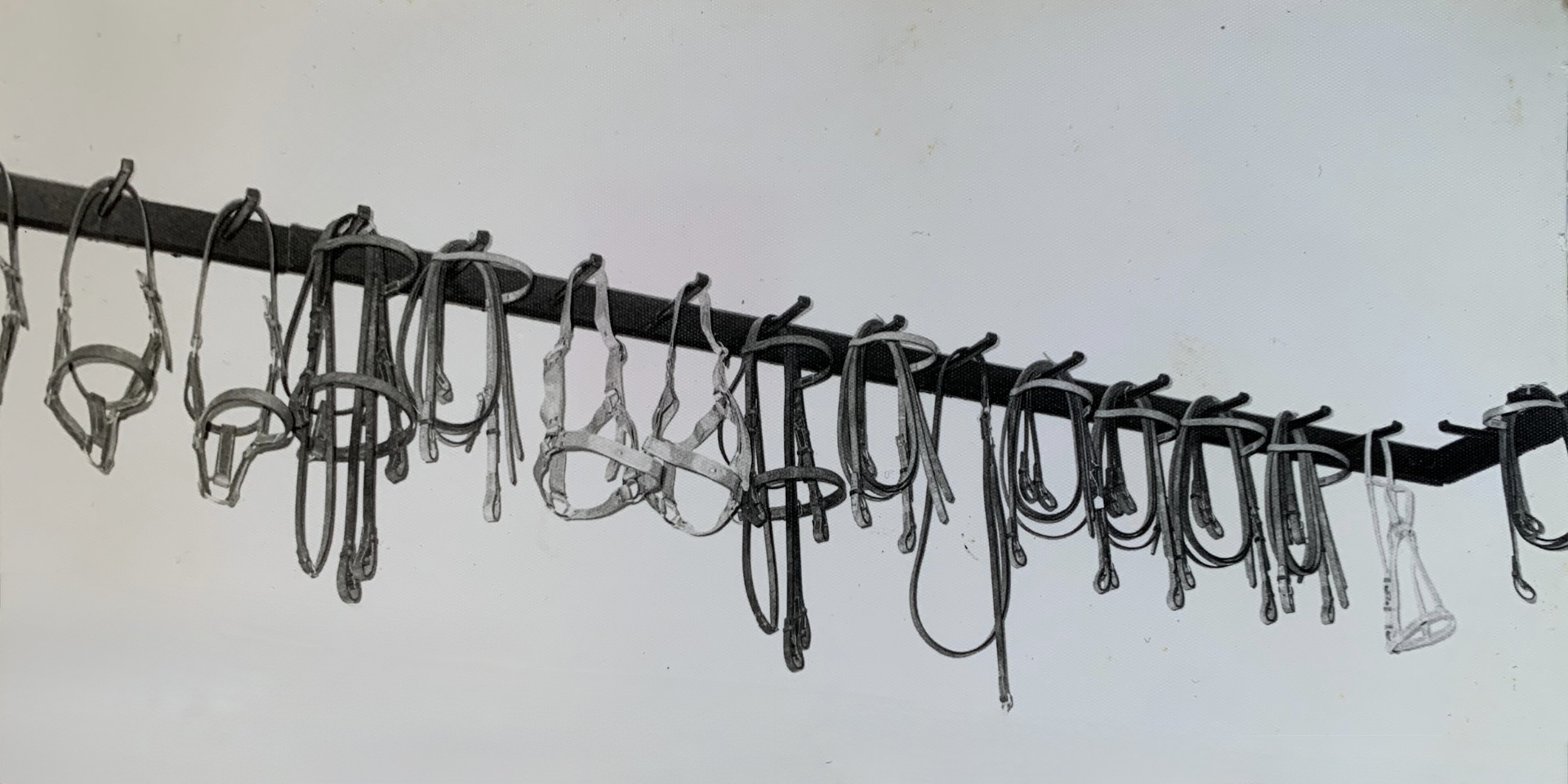 Talabartería Aynié 1915