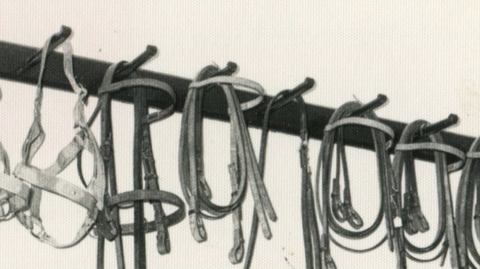 Talabartería Aynié 1915